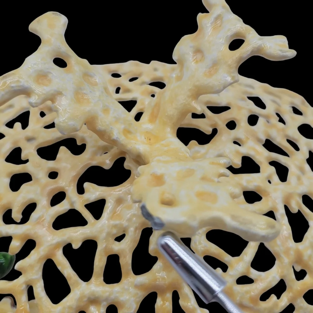Kubla Craft - Shell Sculpture‎ & Enamel Coral Plate - Sea Turtle